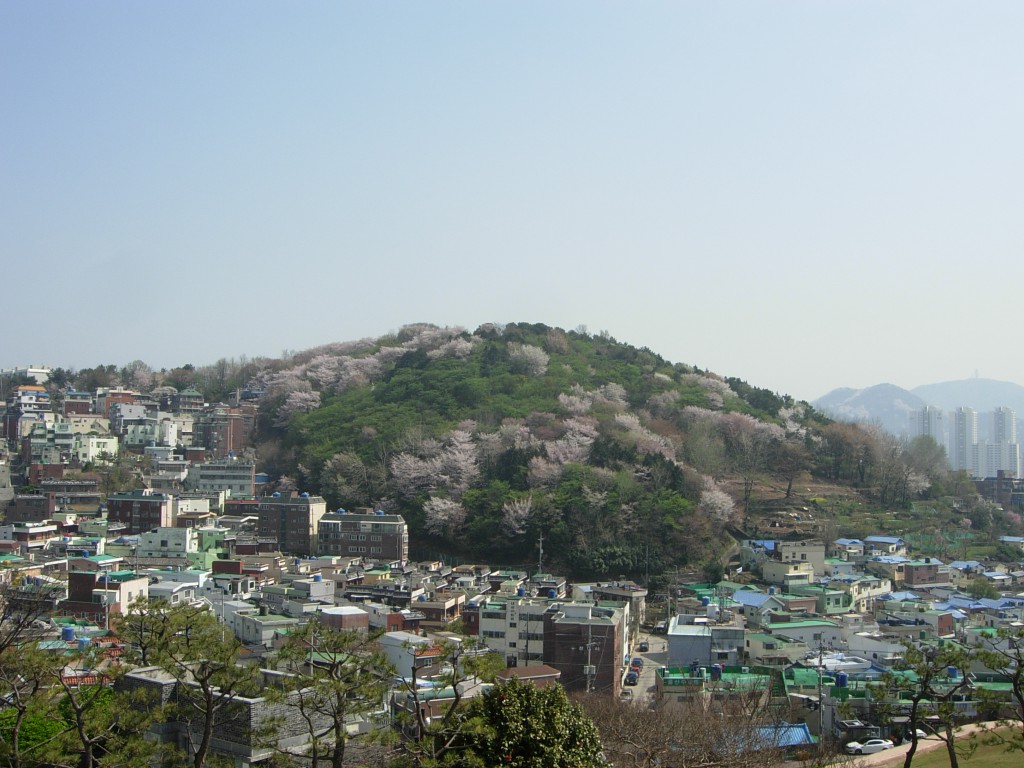 DSCN5387.JPG