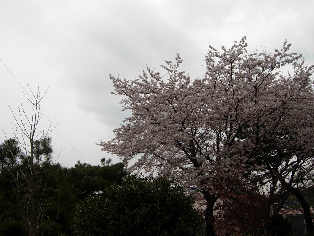 DSCN5353.JPG