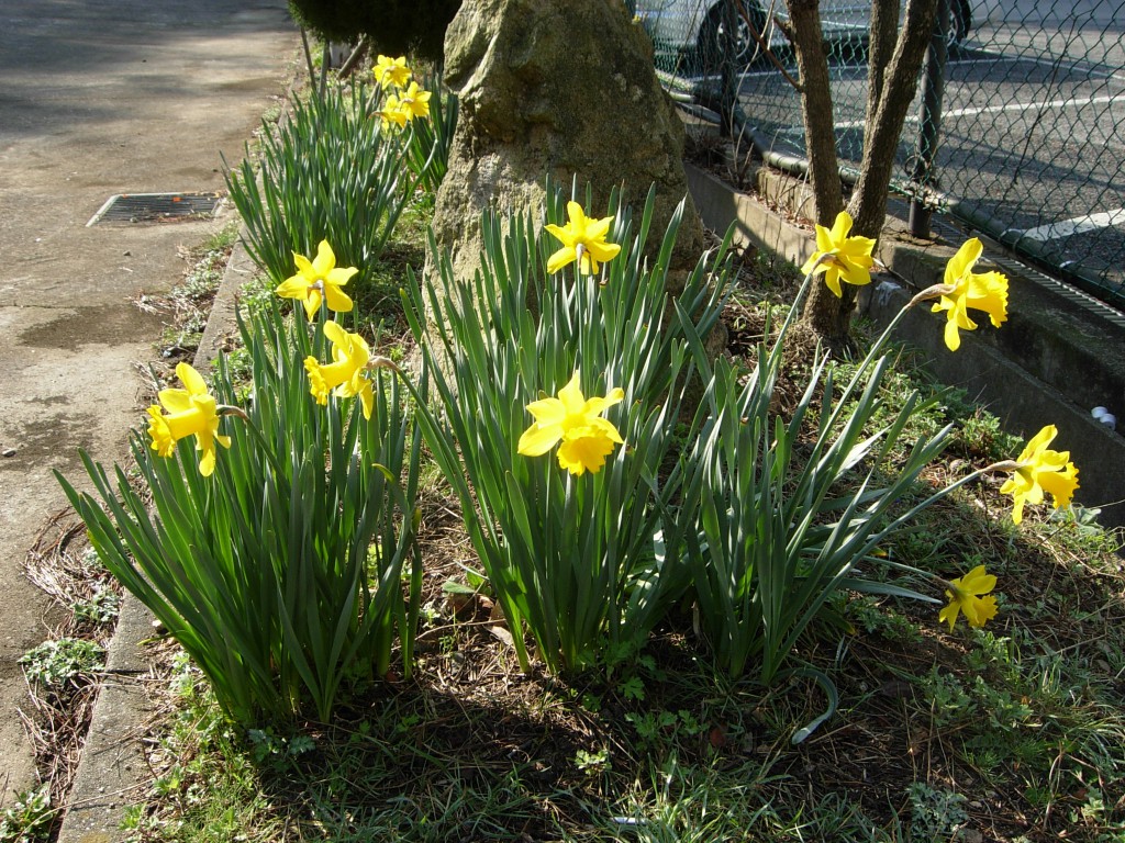 DSCN5200.JPG