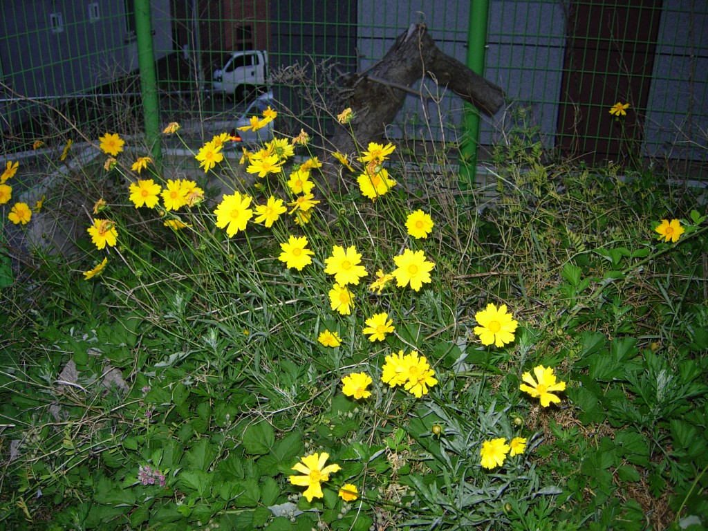 DSCN5460.JPG