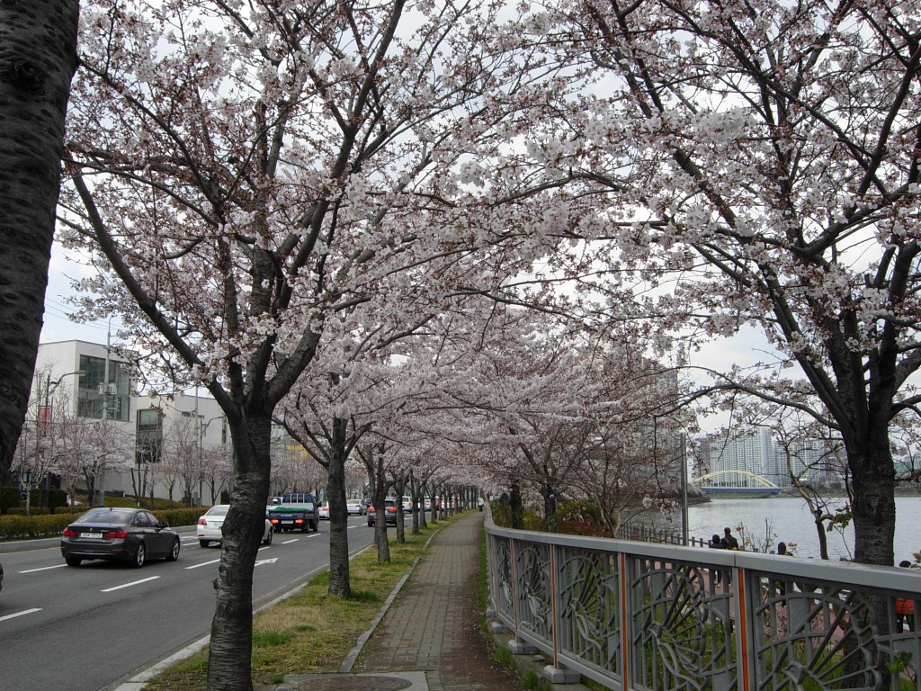 DSCN5264.JPG