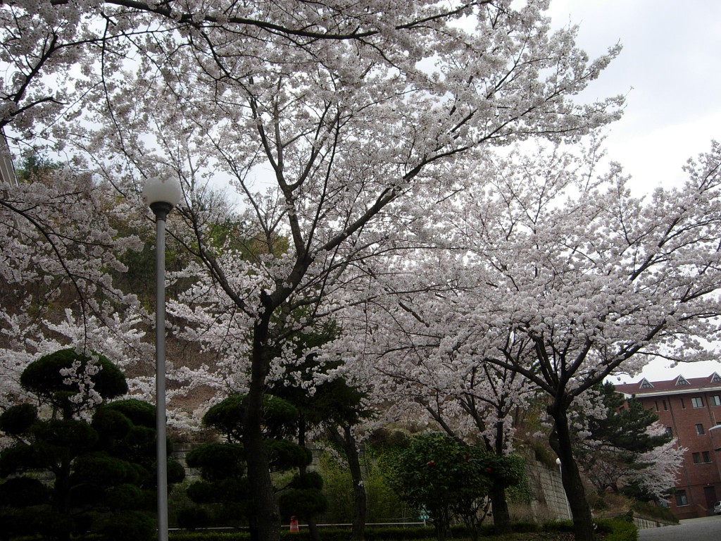 DSCN5340.JPG
