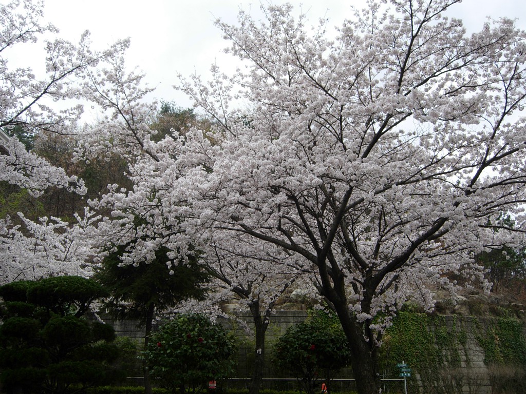 DSCN5339.JPG