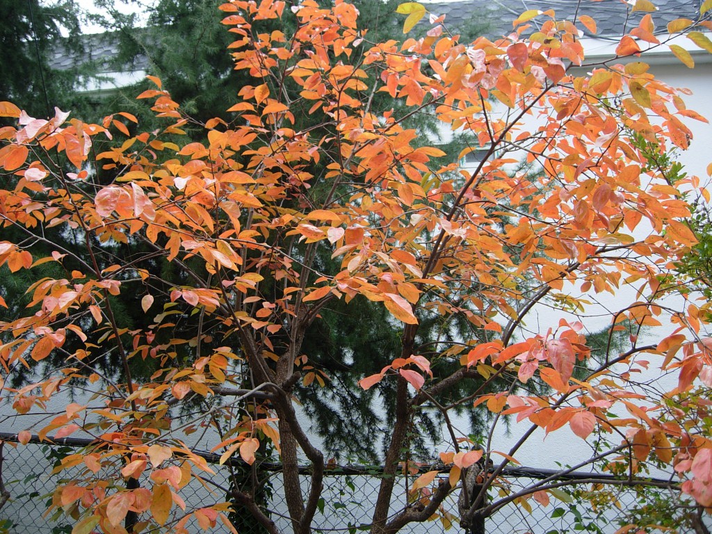 DSCN5564.JPG