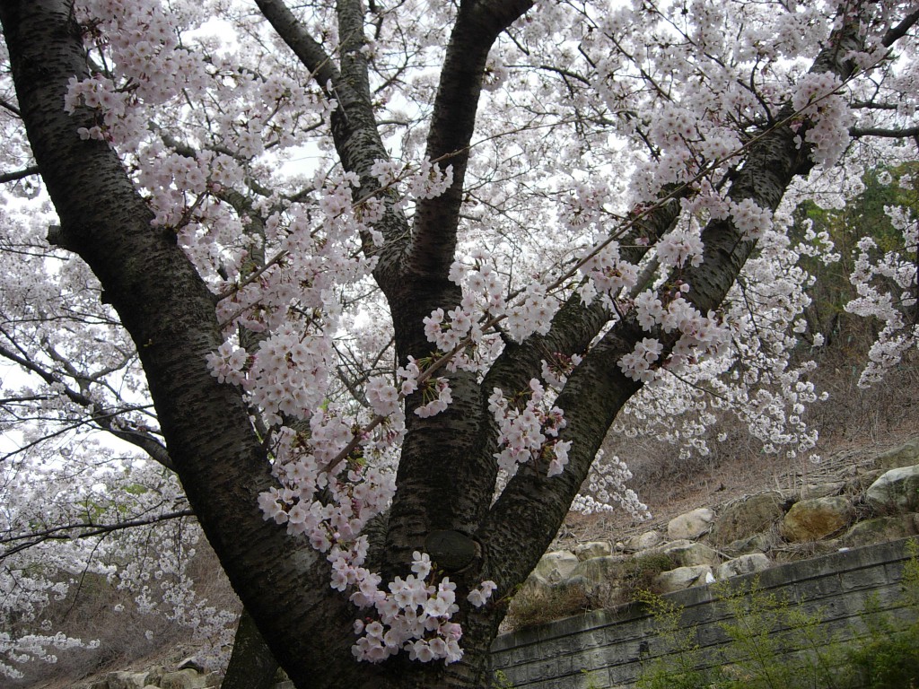 DSCN5345.JPG