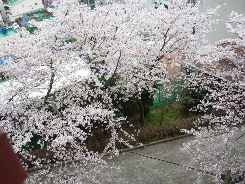 DSCN5366.JPG