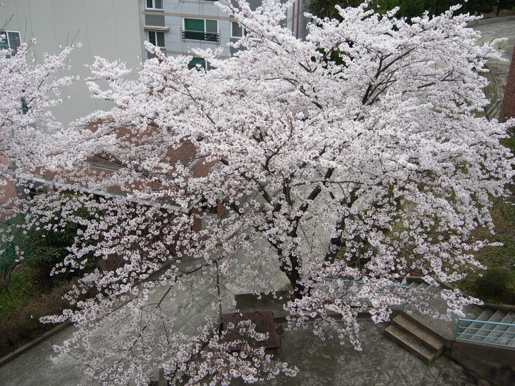 DSCN5365.JPG
