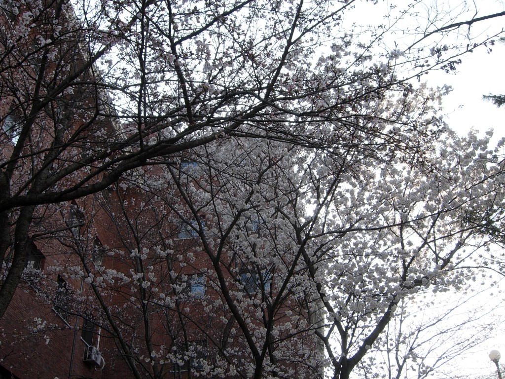 DSCN5191.JPG