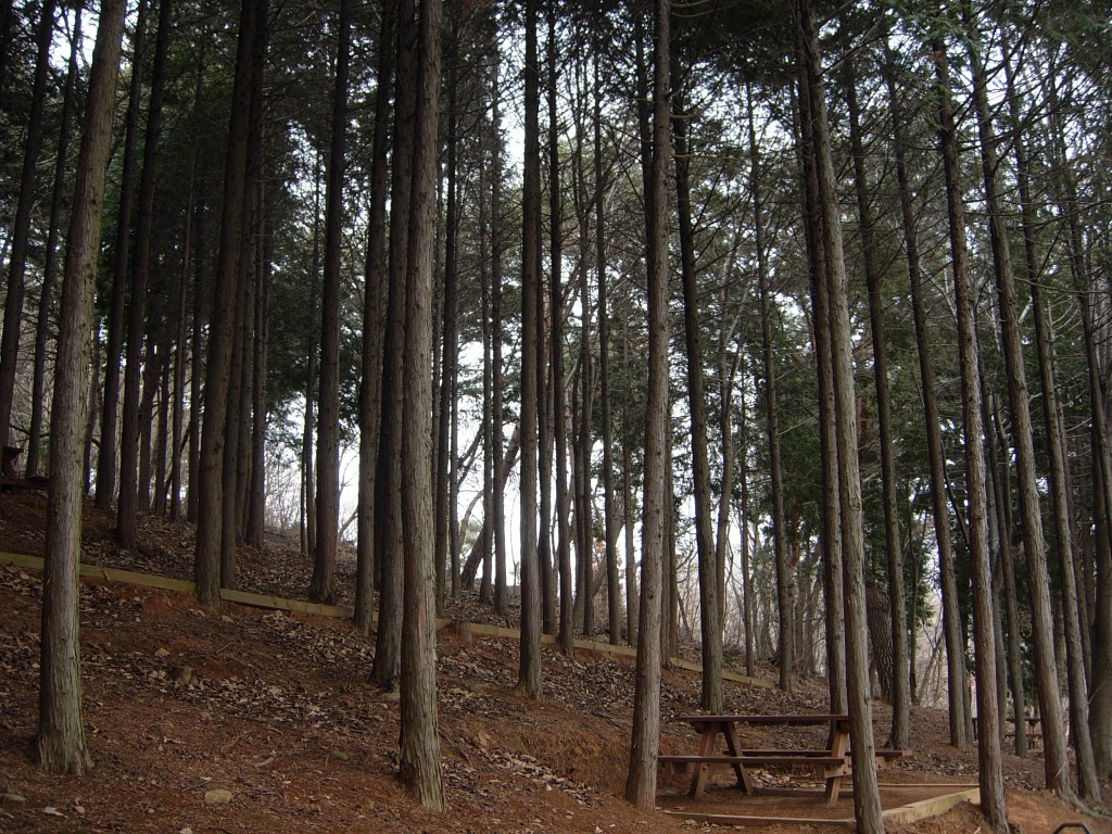DSCN5147.JPG