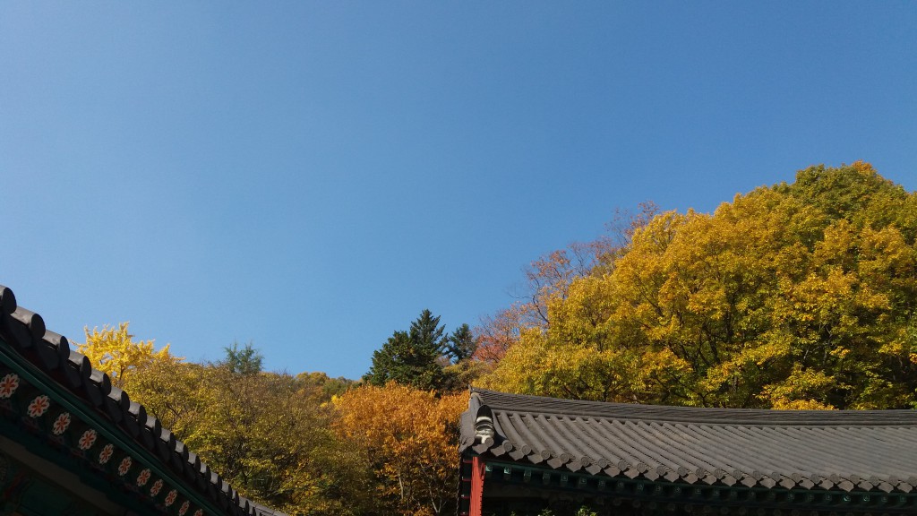20171108_134505.jpg