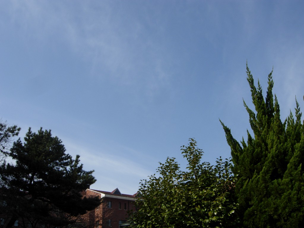 DSCN5242.JPG