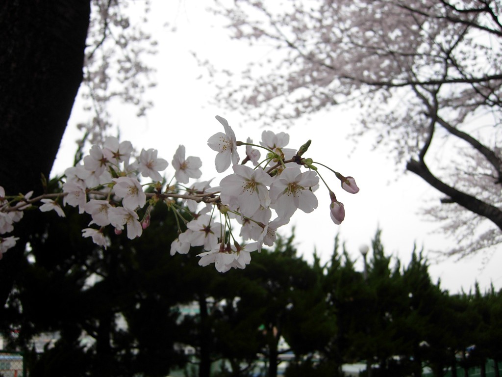 DSCN5320.JPG