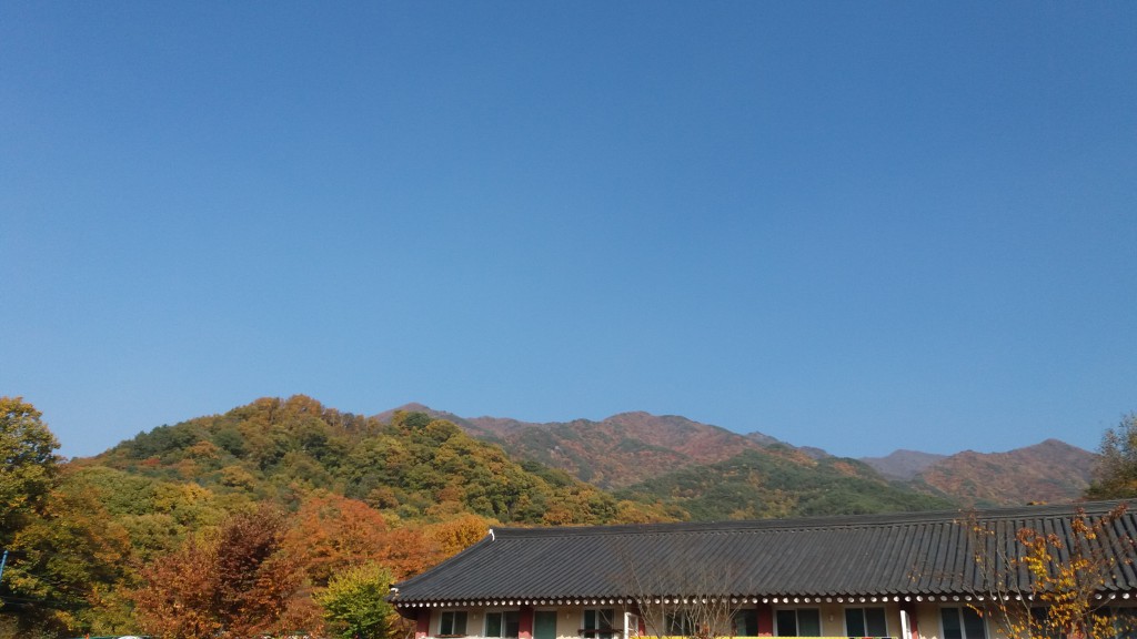 20171108_142225.jpg