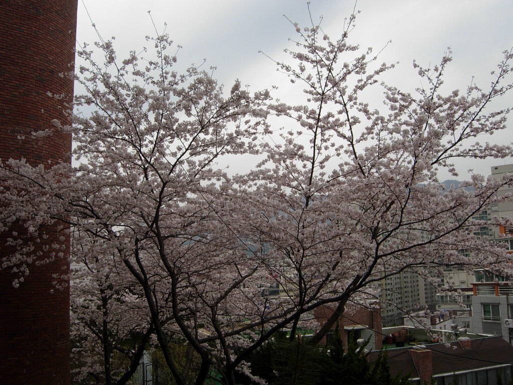 DSCN5360.JPG