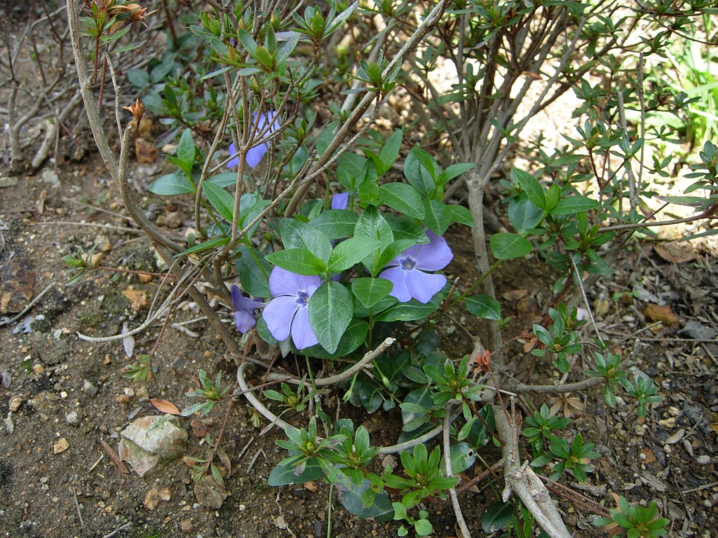 DSCN5370.JPG