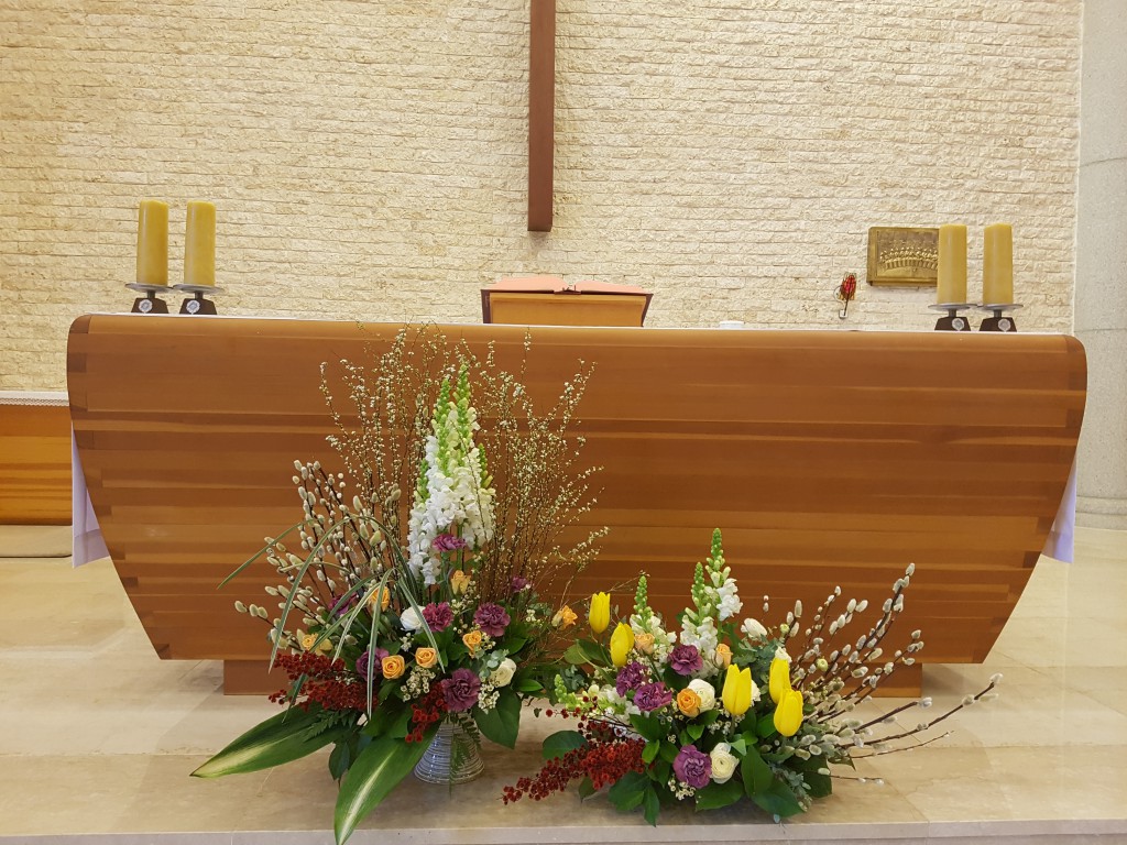 20180211_120721.jpg