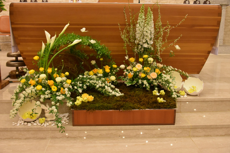 DSC_1005.jpg