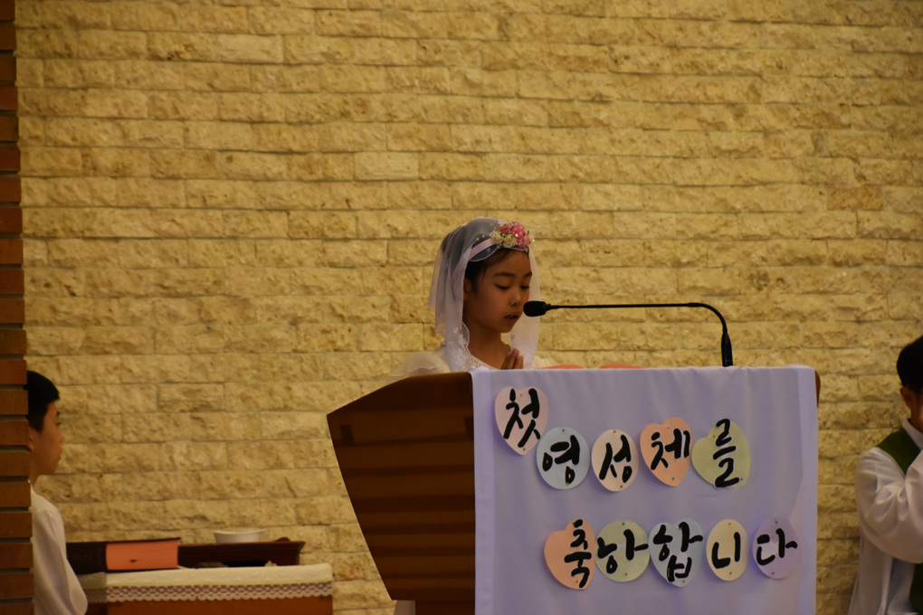 DSC_4778.jpg