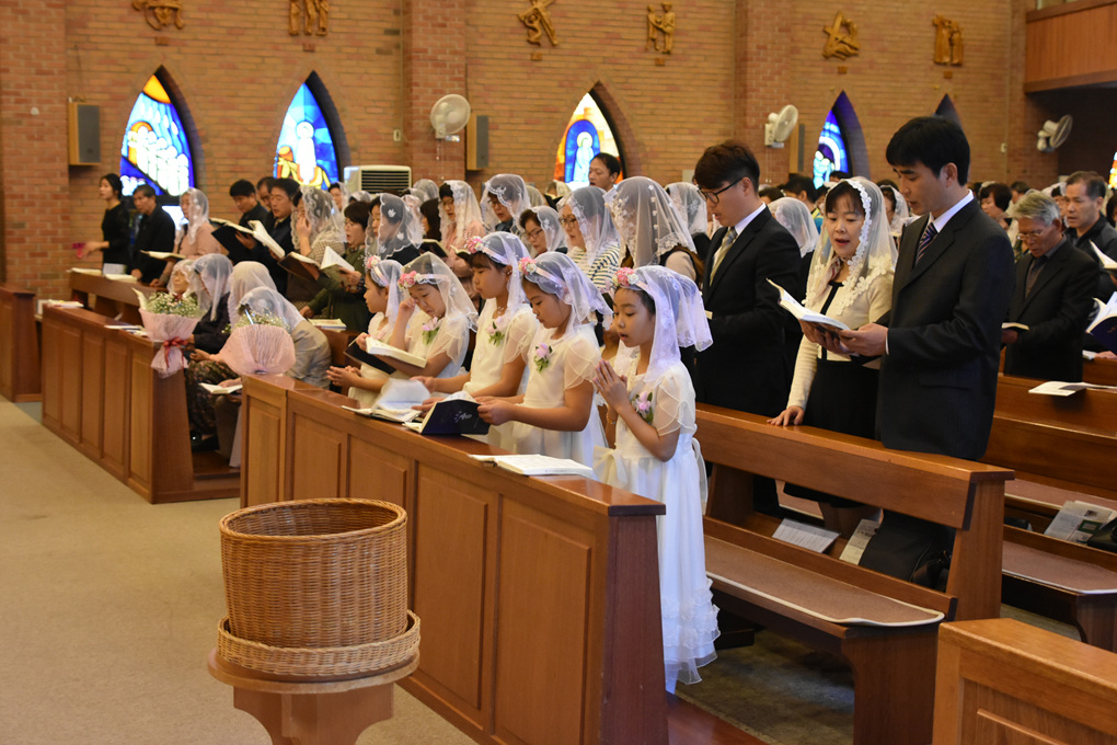 DSC_4774.jpg