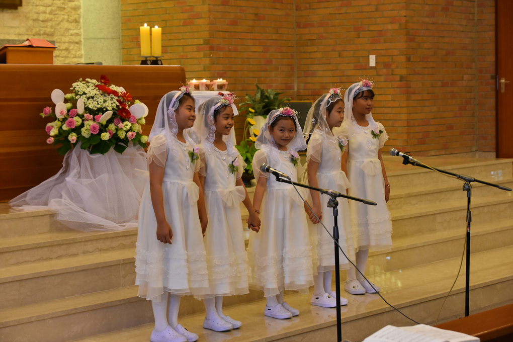 DSC_4803.jpg