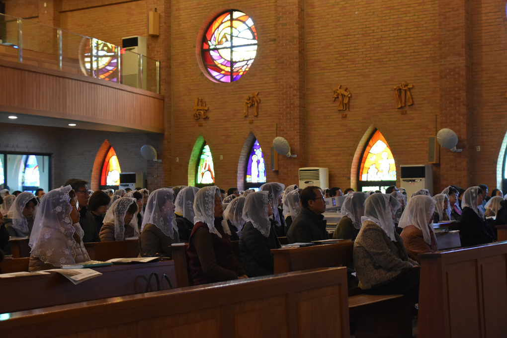 DSC_3411.jpg