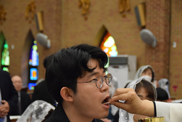 DSC_0080.jpg