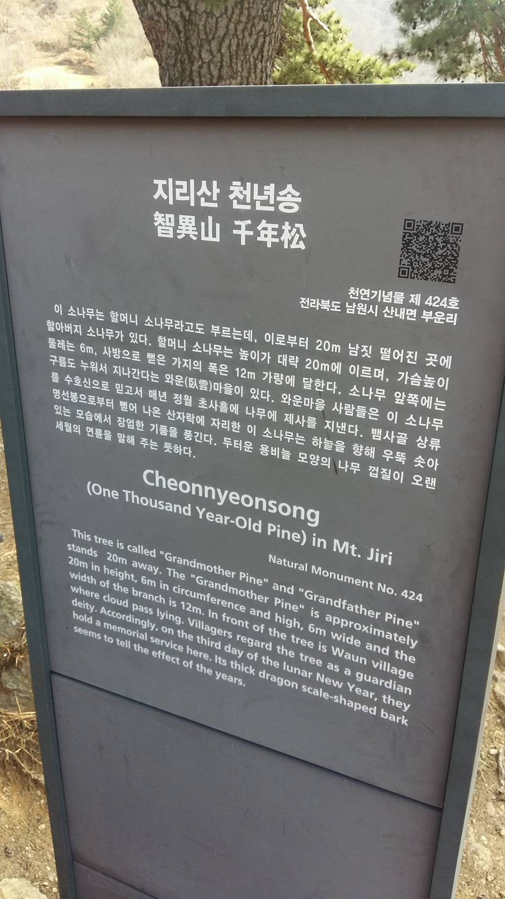 20180402_131620.jpg
