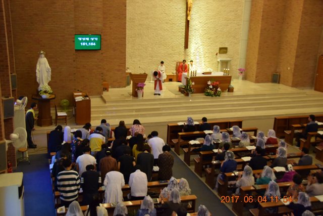 DSC_0196.jpg