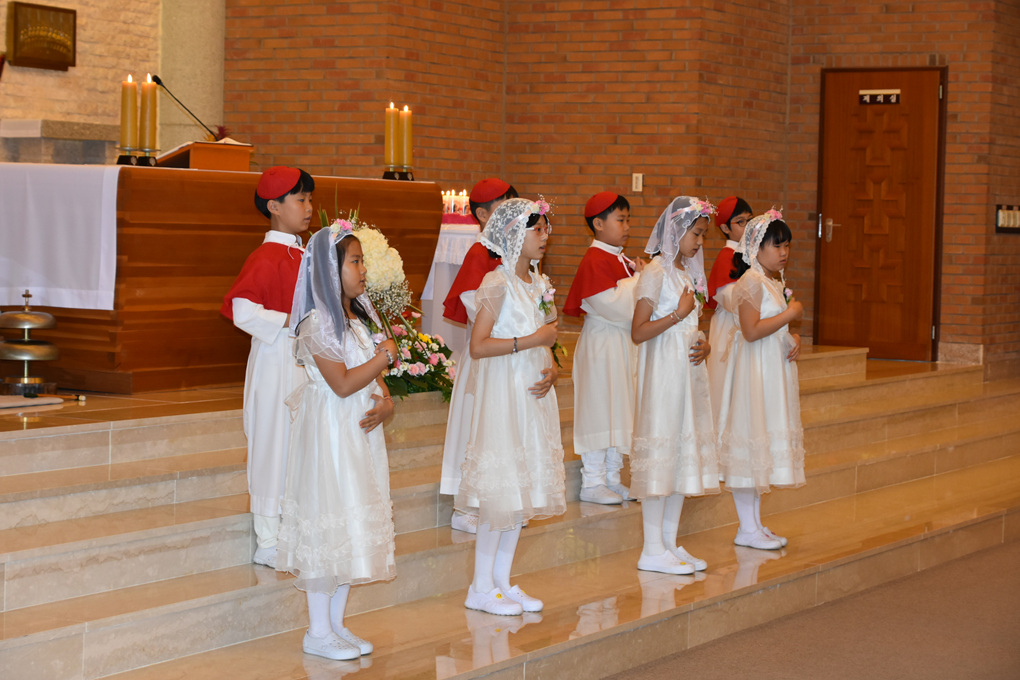 DSC_2596.jpg