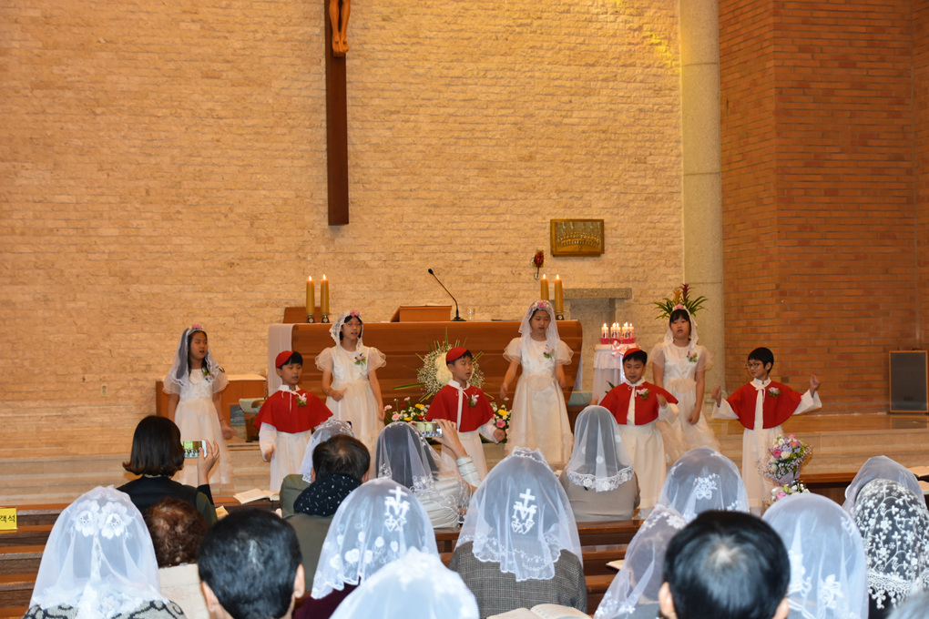 DSC_2590.jpg