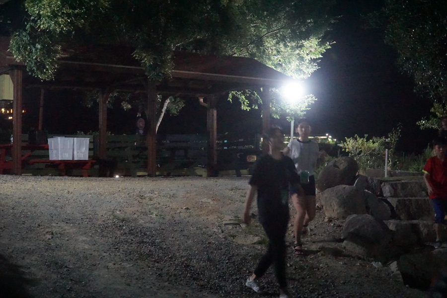 DSC01941.jpg