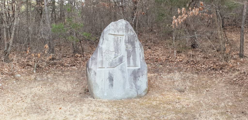 20190216_095833.jpg