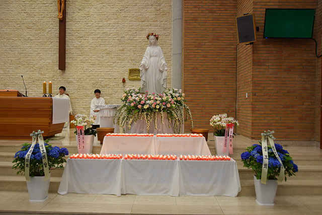 DSC_0033.jpg