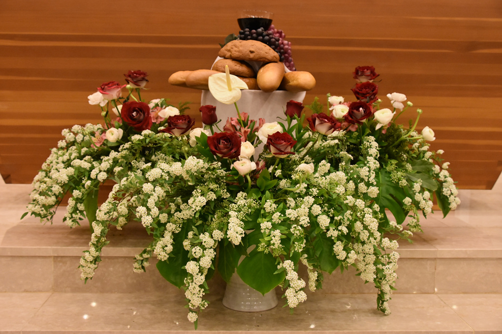 DSC_3990.jpg