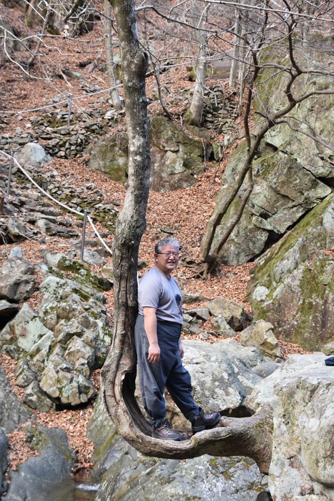 DSC_3592.jpg