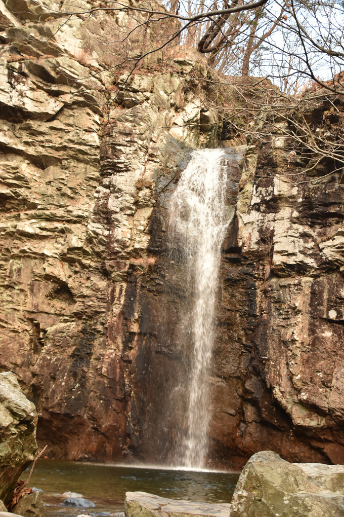 DSC_3566.jpg