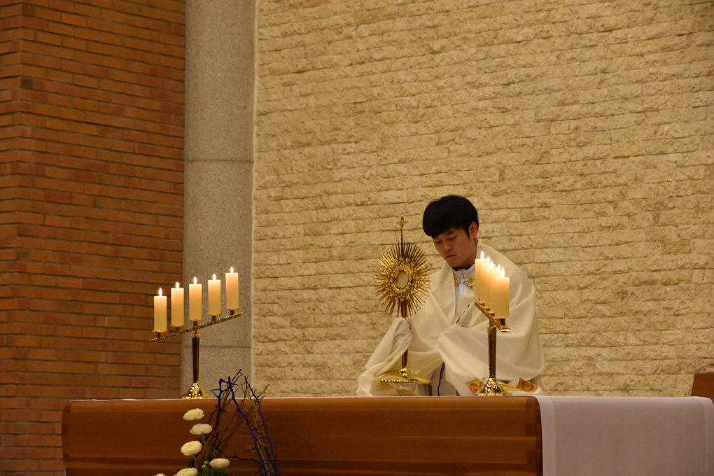 DSC_3479.jpg