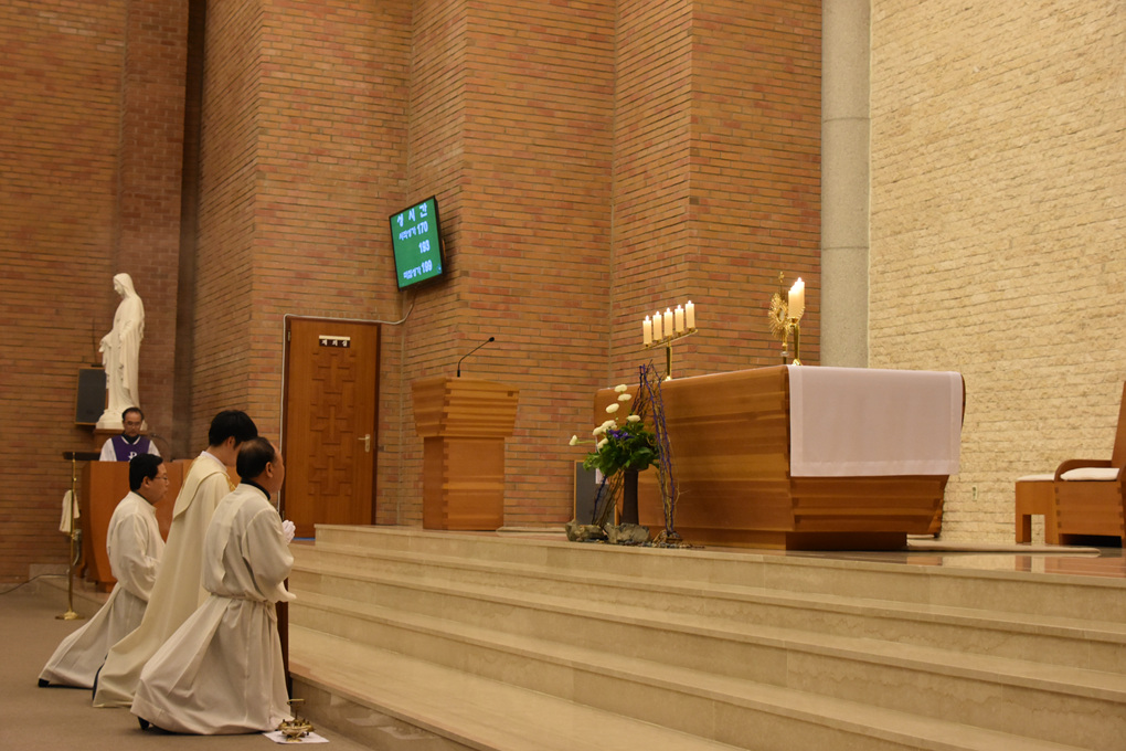 DSC_3466.jpg