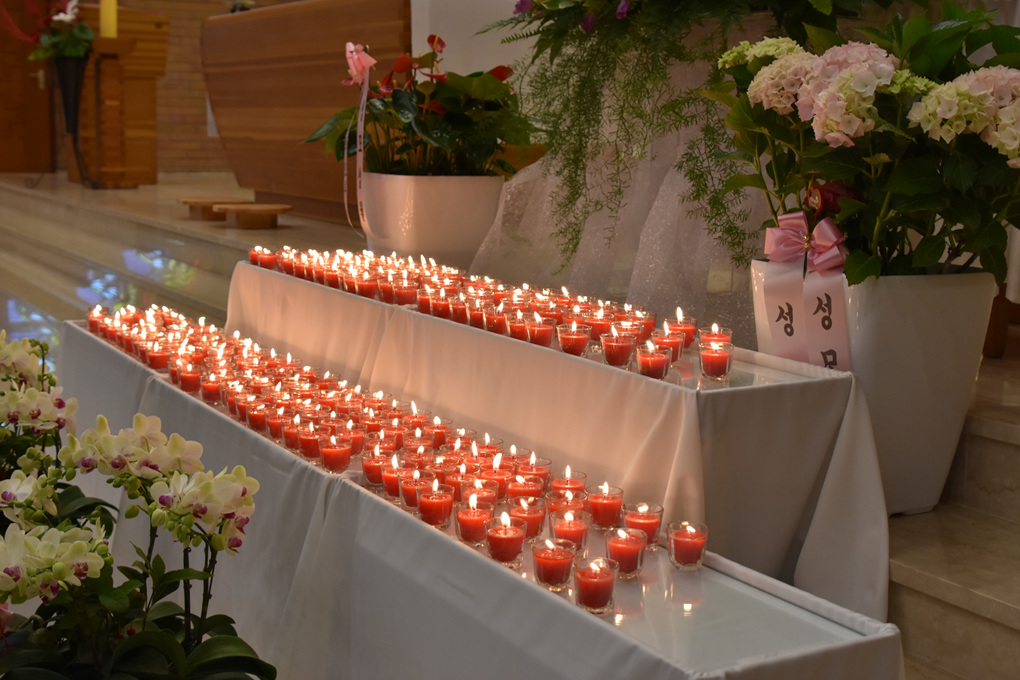 DSC_7817.jpg