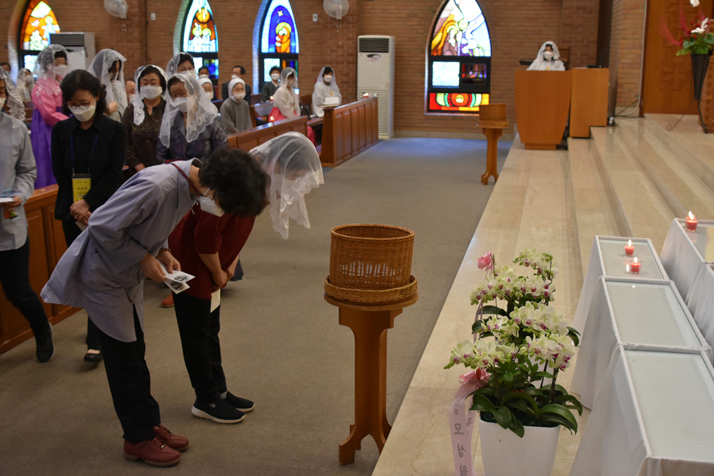 DSC_7806.jpg