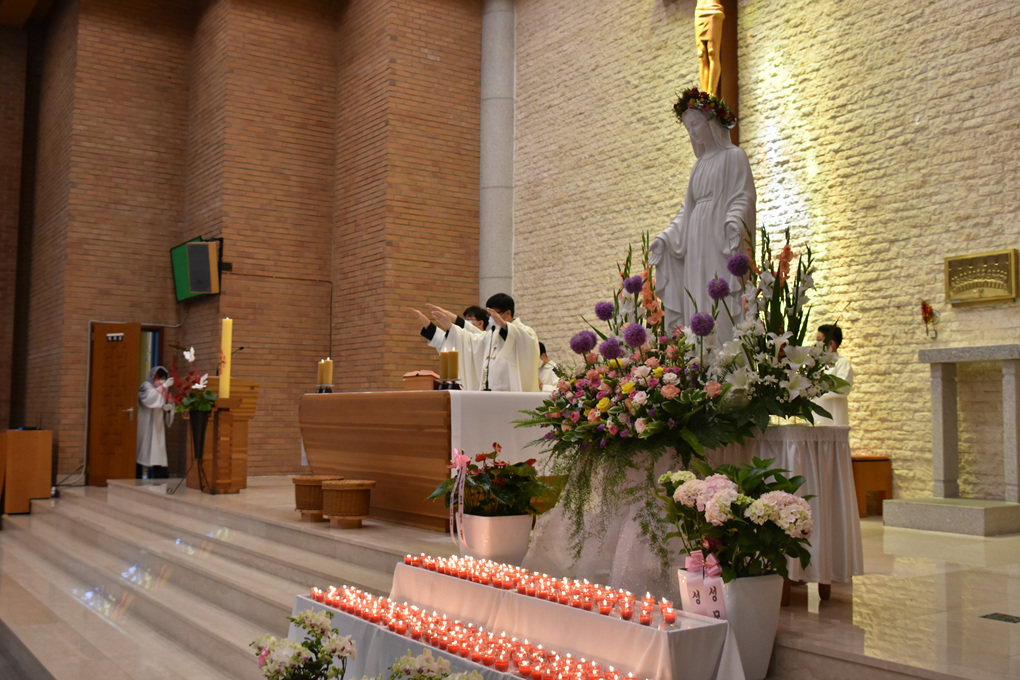 DSC_7824.jpg