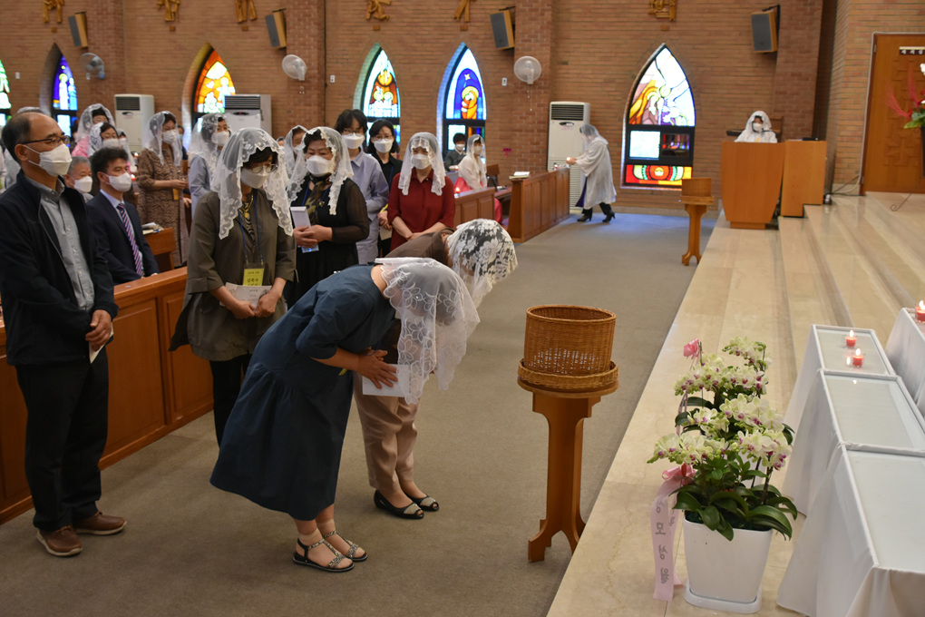 DSC_7803.jpg