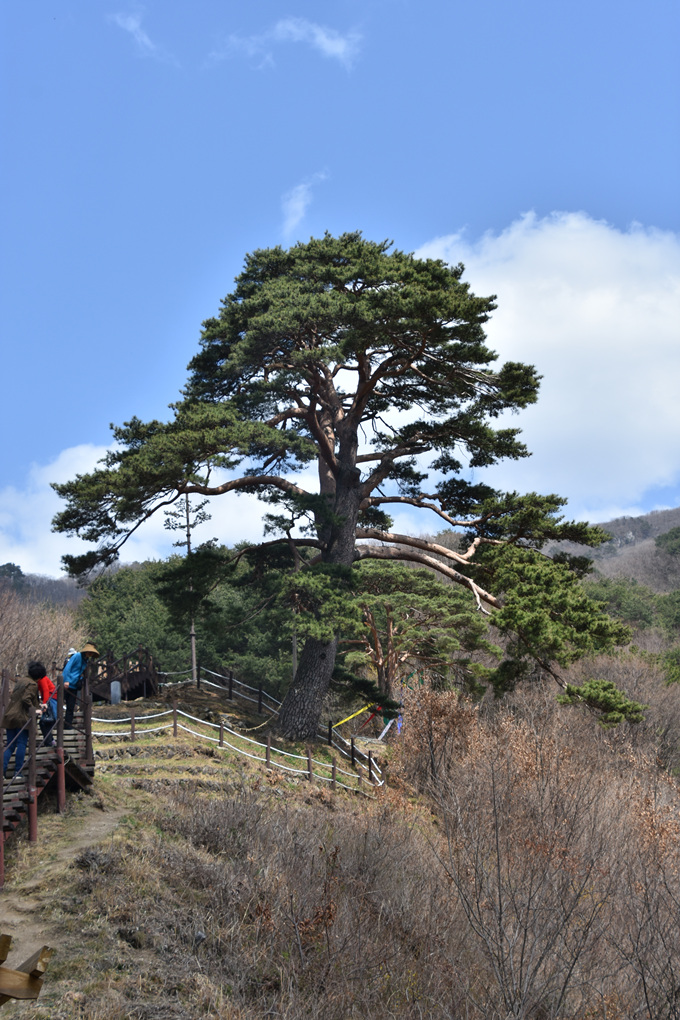 DSC_4174.jpg