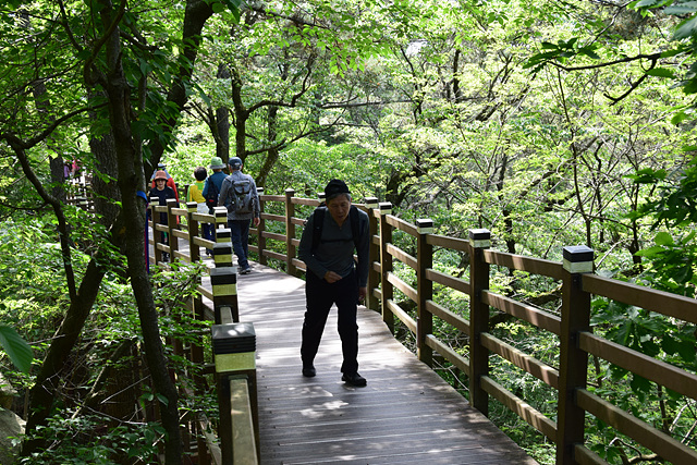 DSC_0140.jpg