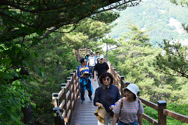 DSC_0156.jpg