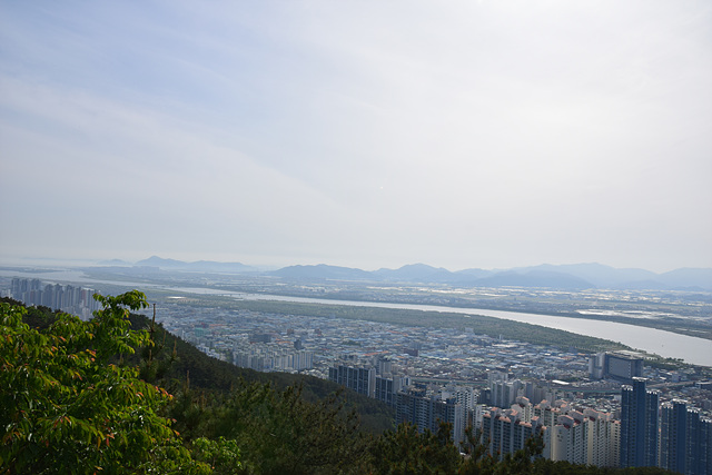 DSC_0220.jpg