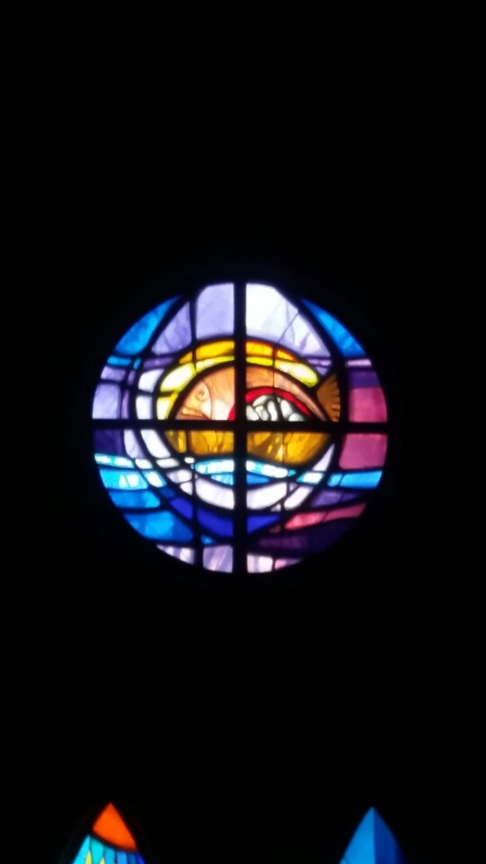 1519734112815.jpg