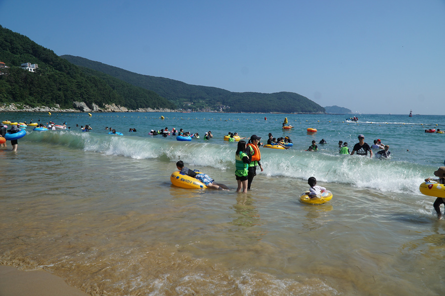 DSC01068.jpg