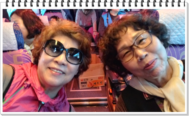 20190422_132834_HDR.jpg