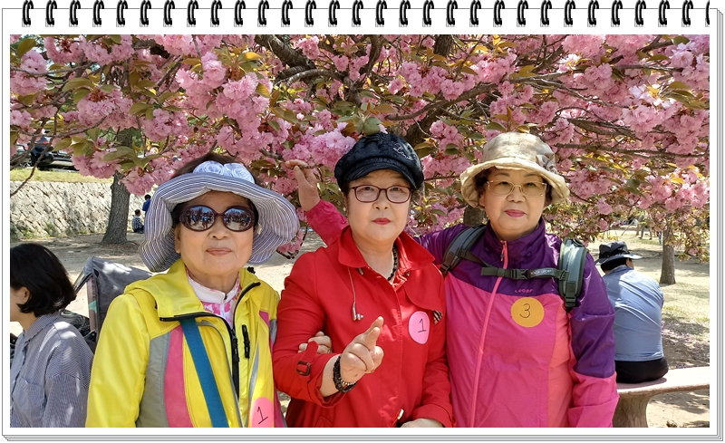 20190422_120246_HDR.jpg